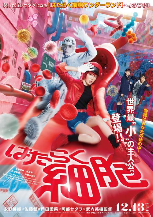 《工作细胞 真人版》百度云网盘夸克下载.阿里云