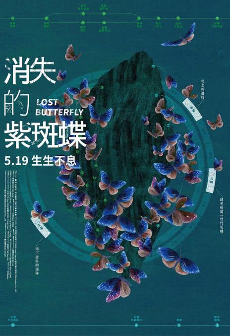 《消失的紫斑蝶》百度云网盘夸克下载.阿里云盘