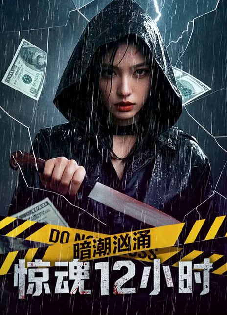 《暗潮汹涌之惊魂12小时》百度云网盘夸克下载