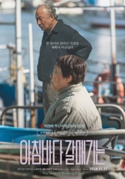 《晨海的海鸥》百度云网盘夸克下载.阿里云盘