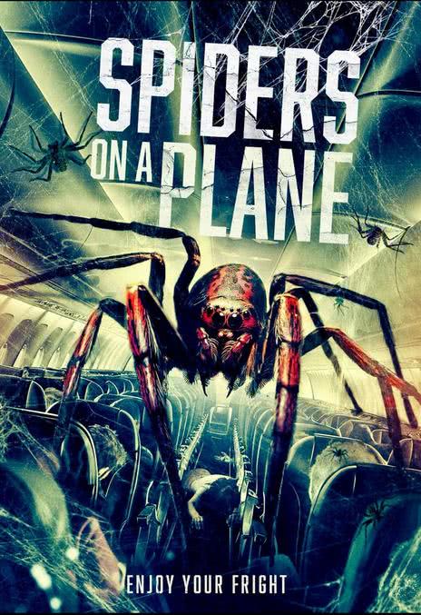 《航班蛛患》百度云网盘夸克下载.阿里云盘.中字