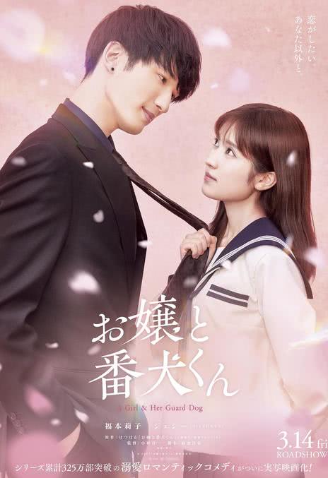 《大小姐和看门犬》百度云网盘夸克下载.阿里云