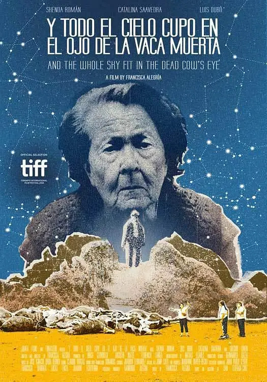 《死牛的眼睛能看见整片天空》百度云网盘夸克