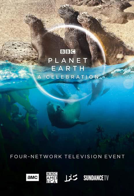 《地球脉动:生命礼赞》百度云网盘夸克下载.阿