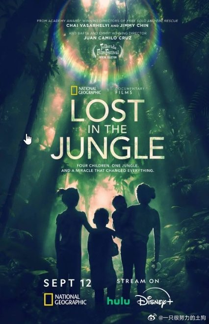 《迷失丛林》百度云网盘夸克下载.阿里云盘.中字