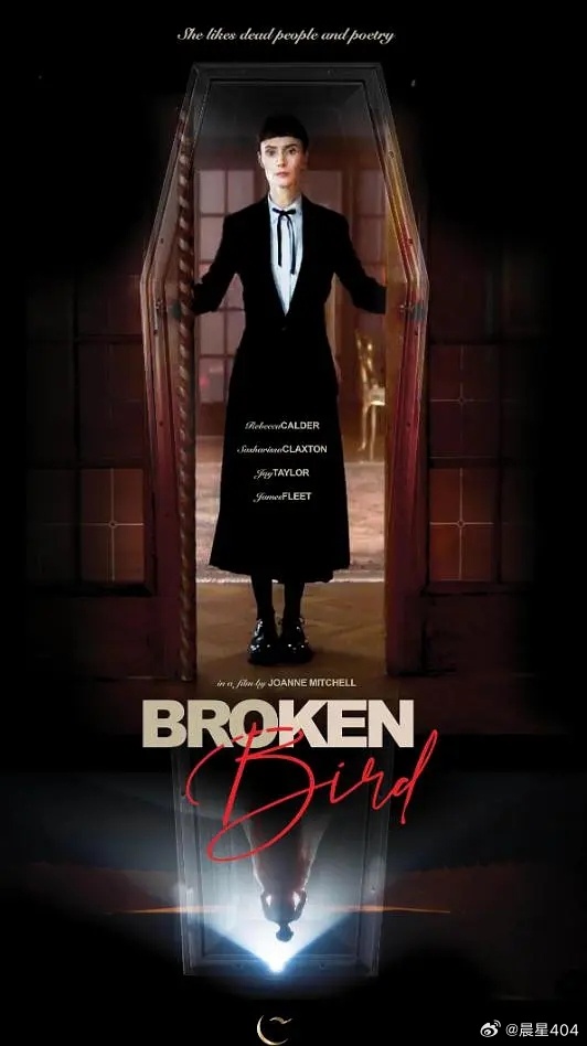 《折翼鸟》百度云网盘夸克下载.阿里云盘.中字