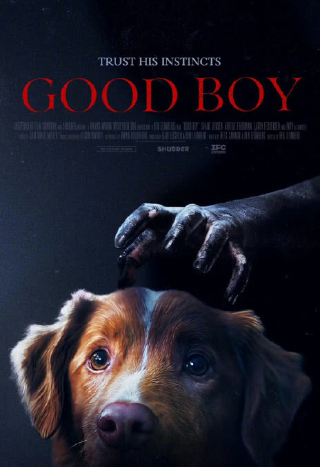 《好狗狗》百度云网盘夸克下载.阿里云盘.中字