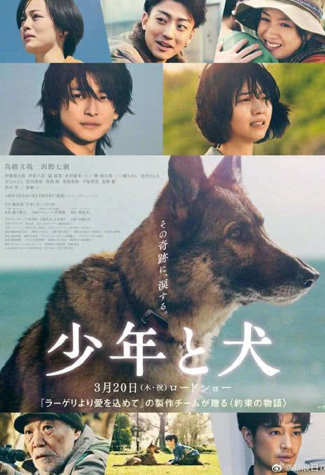 《少年与犬》百度云网盘夸克下载.阿里云盘.中字