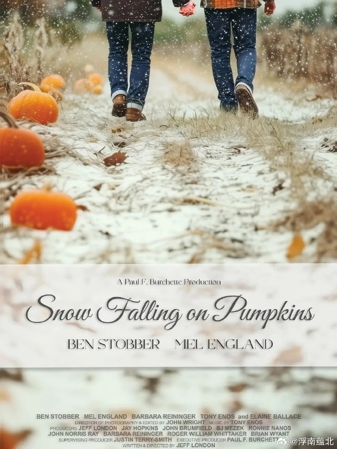 《大雪落在南瓜上》百度云网盘夸克下载.阿里云