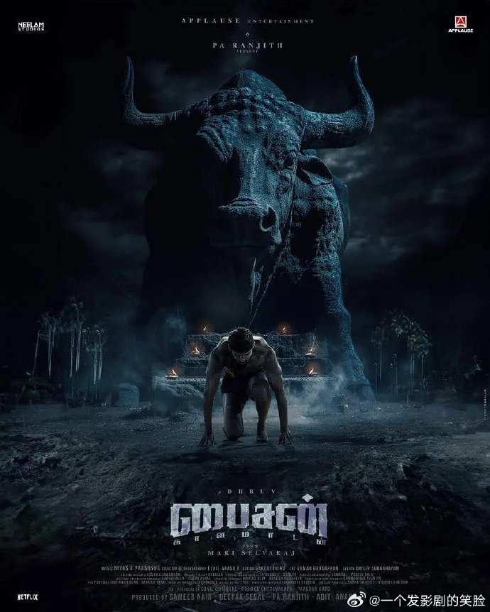 《野牛：卡巴迪》百度云网盘夸克下载.阿里云盘