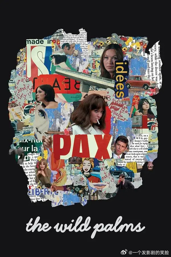 《野棕榈》百度云网盘夸克下载.阿里云盘.中字