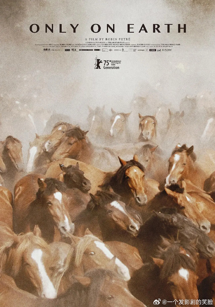 《夏日烈焰》百度云网盘夸克下载.阿里云盘.中字