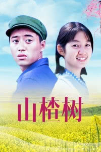 《山楂树》百度云网盘夸克下载.阿里云盘.中字