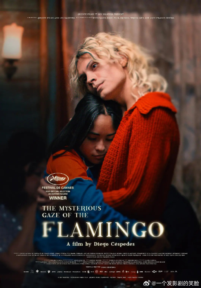 《弗拉明戈的神秘眼神》百度云网盘夸克下载.阿