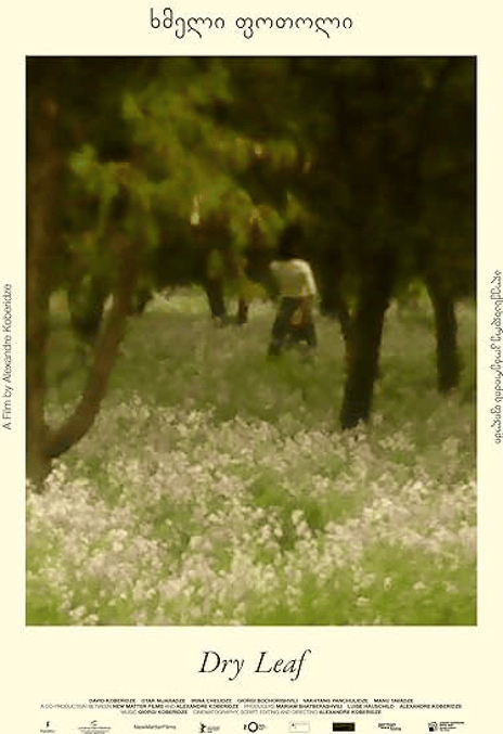 《落叶球》百度云网盘夸克下载.阿里云盘.中字