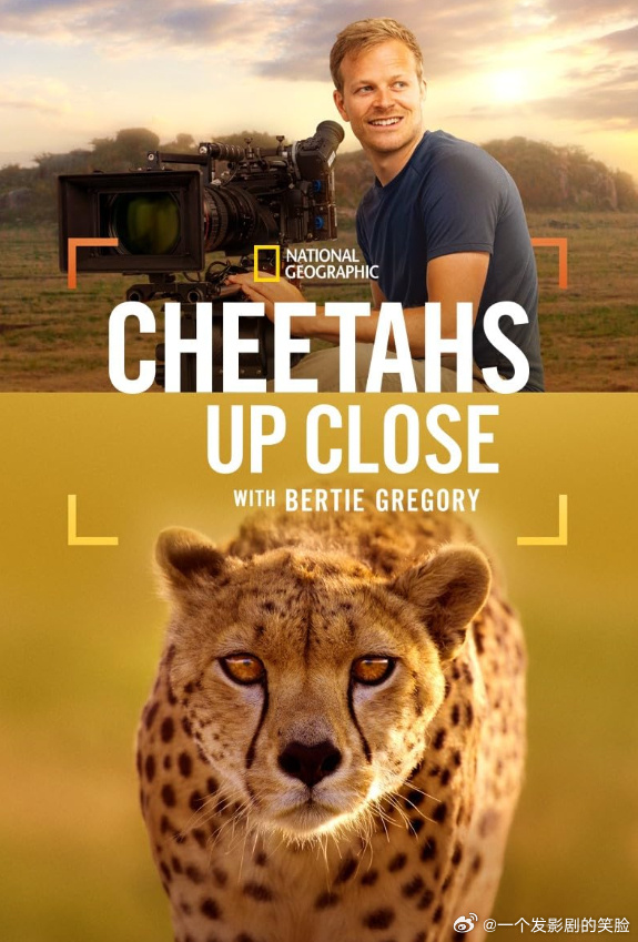 《摄影师伯蒂与猎豹零距离》百度云网盘夸克下