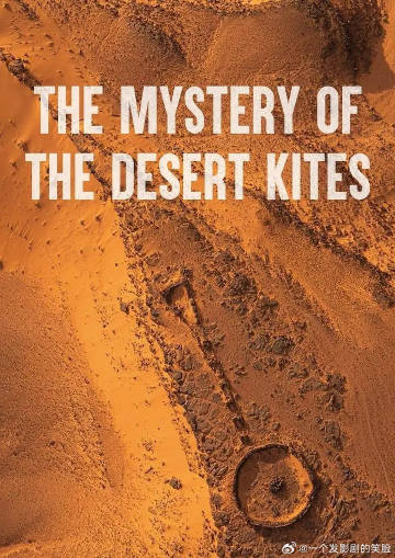 《沙漠风筝之谜》百度云网盘夸克下载.阿里云盘