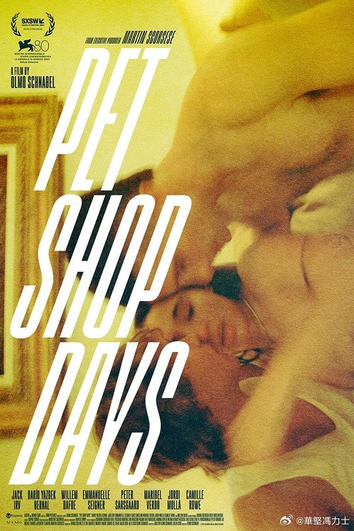 《宠物店的日子》百度云网盘夸克下载.阿里云盘