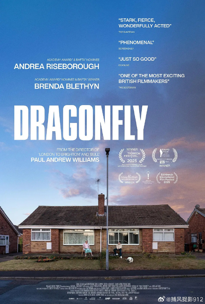 《危情蜻蜓》百度云网盘夸克下载.阿里云盘.中字